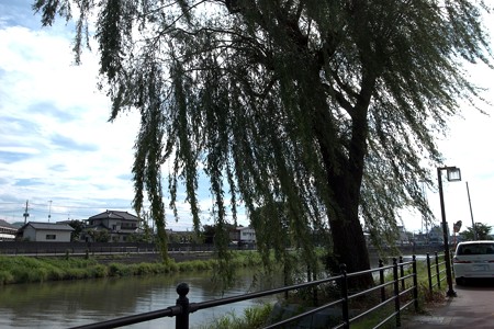 a0320564_21090861.jpg