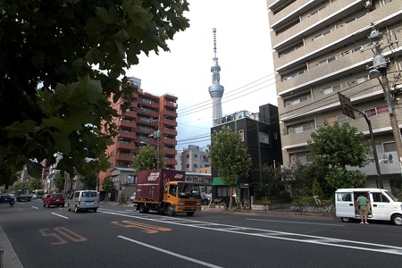 a0320564_21093326.jpg