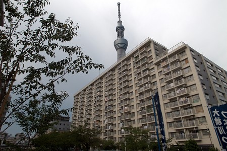 a0320564_21093363.jpg