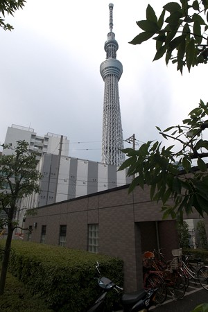 a0320564_21093364.jpg