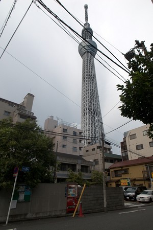 a0320564_21093392.jpg
