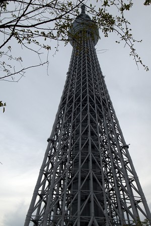 a0320564_21093587.jpg