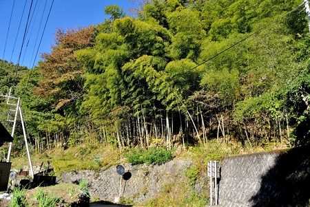 a0320564_21112801.jpg