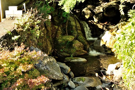 a0320564_21112815.jpg