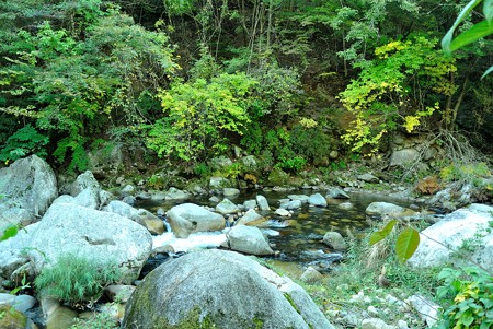 a0320564_21112948.jpg