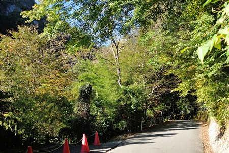 a0320564_21112955.jpg
