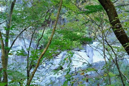 a0320564_21112977.jpg