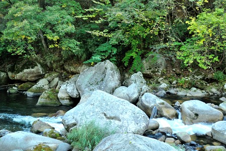 a0320564_21112984.jpg