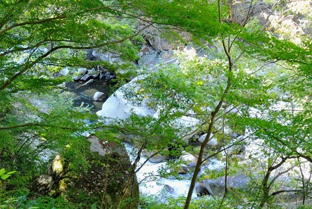a0320564_21113060.jpg