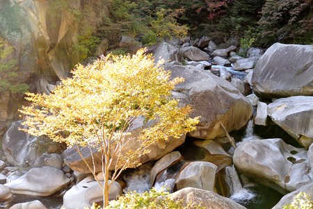 a0320564_21113119.jpg