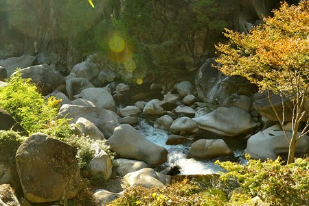 a0320564_21113198.jpg
