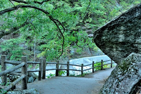 a0320564_21113239.jpg