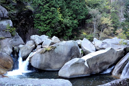 a0320564_21113411.jpg