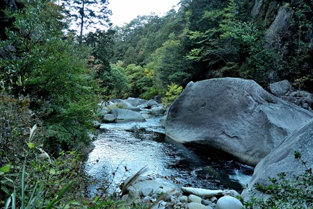 a0320564_21113433.jpg