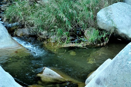 a0320564_21113453.jpg