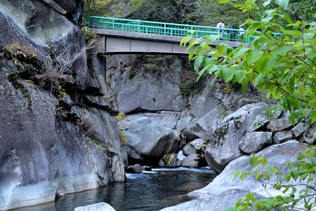 a0320564_21113509.jpg
