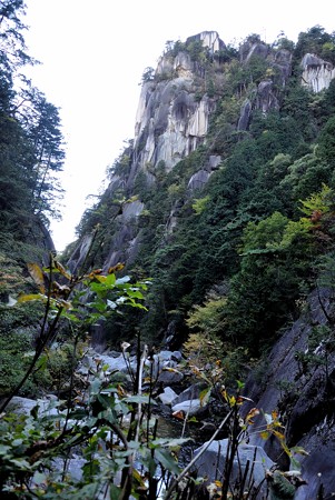 a0320564_21113554.jpg