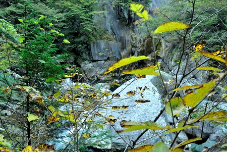 a0320564_21113588.jpg
