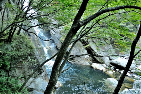 a0320564_21113621.jpg