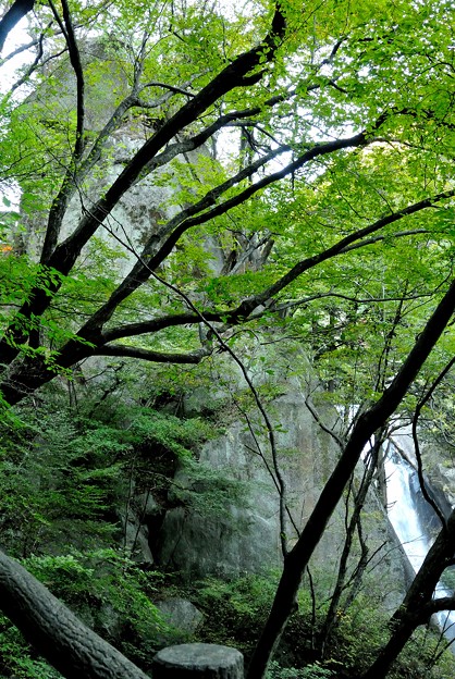 a0320564_21113787.jpg