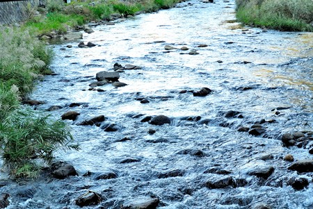 a0320564_21114069.jpg