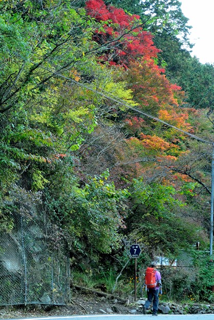 a0320564_21114169.jpg