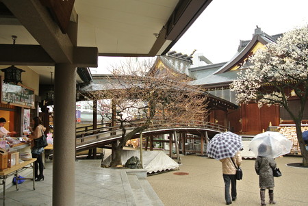 a0320564_21122571.jpg