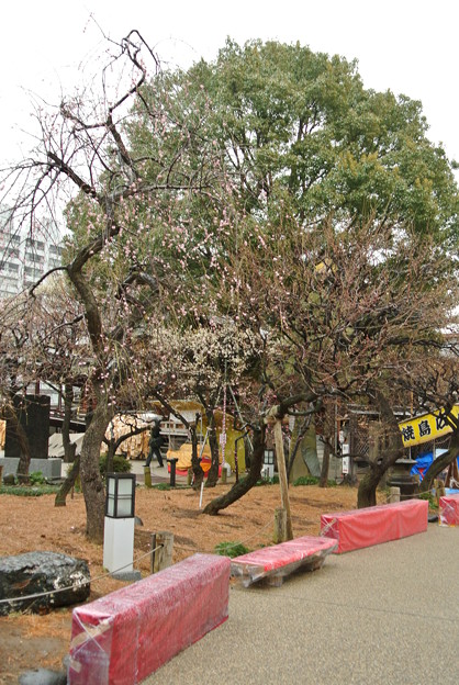 a0320564_21122642.jpg