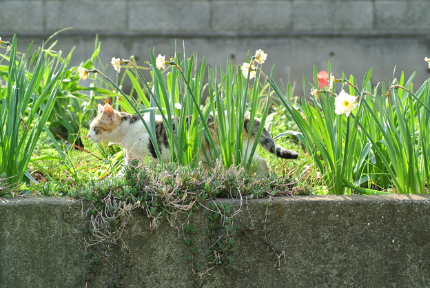 a0320564_21134980.jpg