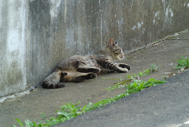 a0320564_21135090.jpg