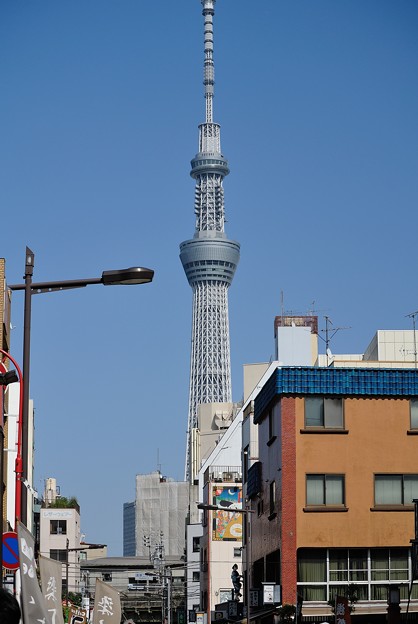 a0320564_21140471.jpg
