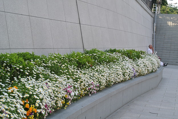 a0320564_21140700.jpg