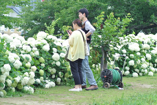 a0320564_21142051.jpg