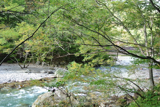 a0320564_21152905.jpg