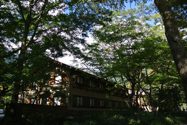 a0320564_21153530.jpg