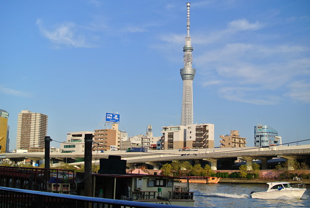 a0320564_21161009.jpg