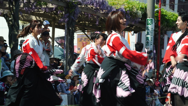 a0320564_21174417.jpg
