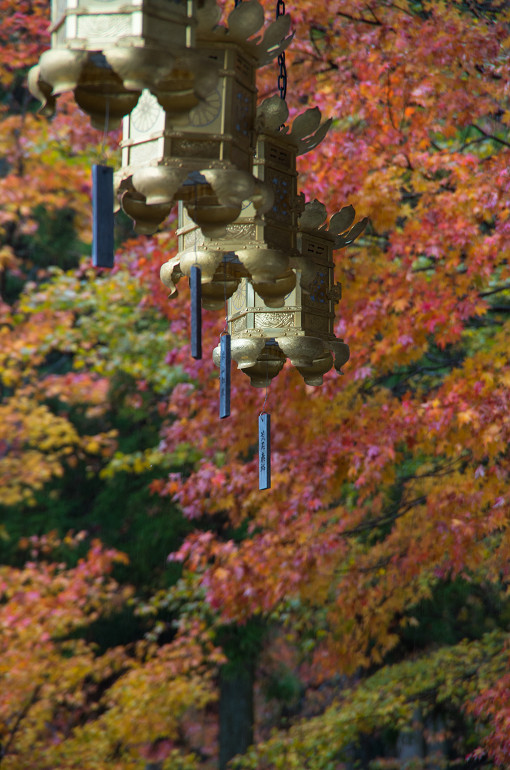 f0303870_2253525.jpg