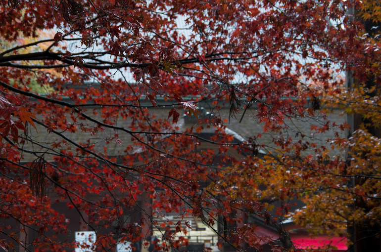 f0303870_2254922.jpg