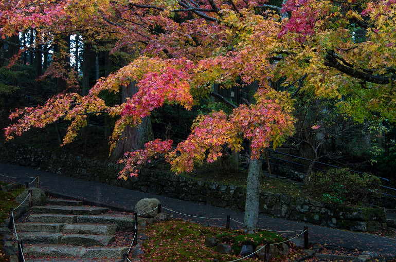 f0303870_2261313.jpg