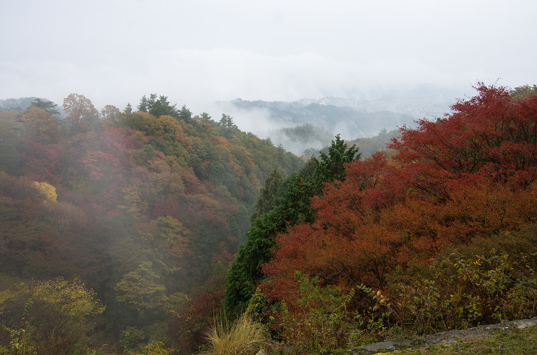 f0303870_2262867.jpg