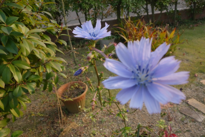 c0216472_074799.jpg