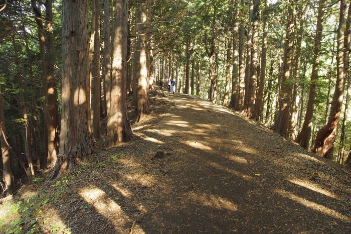 e0307372_10172873.jpg