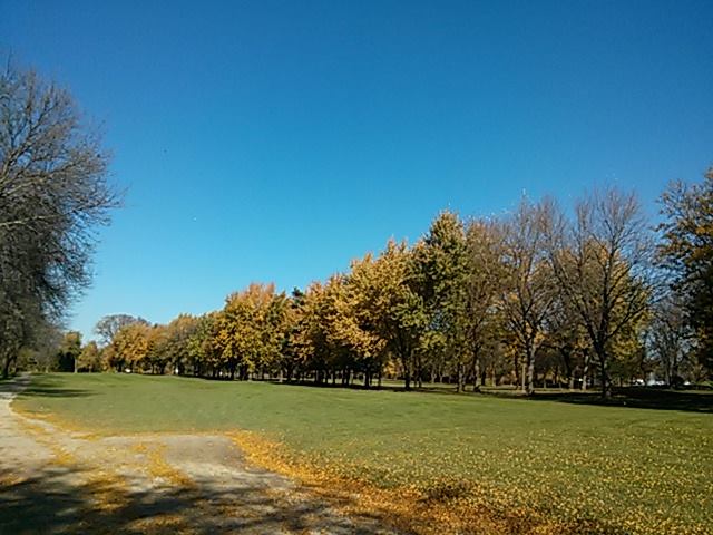 f0095873_1264413.jpg