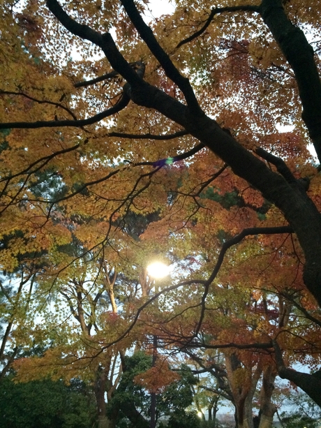 c0283778_17284712.jpg