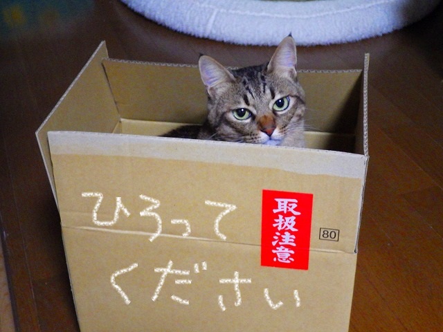 a0159490_1635096.jpg