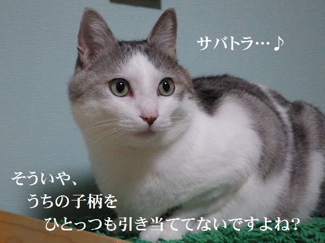 a0159490_16585590.jpg