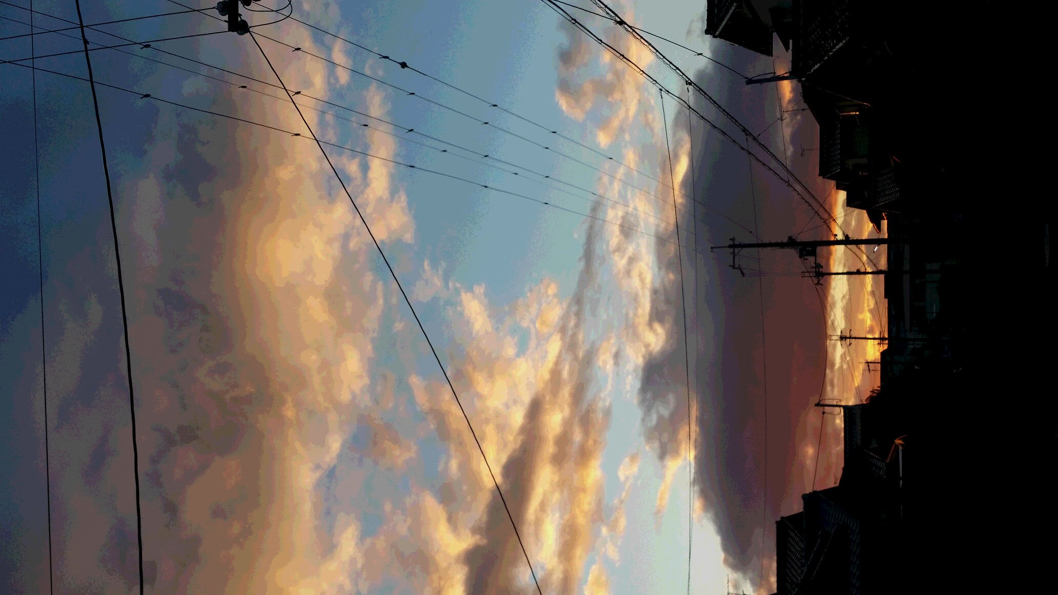 a0064291_15282554.jpg