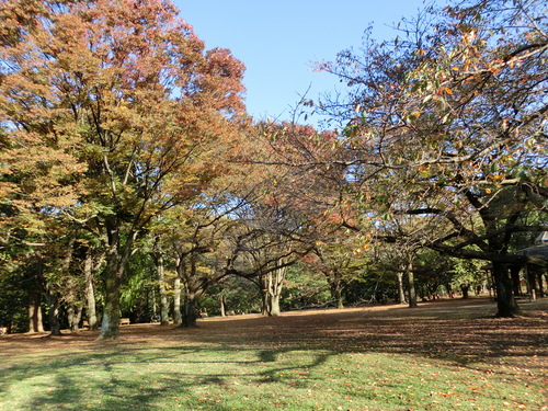 a0319693_200171.jpg
