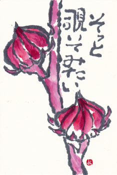 a0030594_2232775.gif